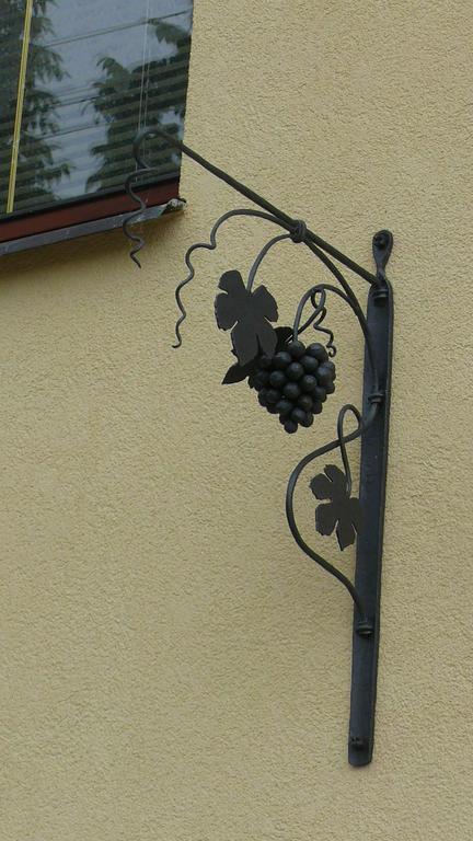 Apartment Zelezny Hrozen Valtice Rum bild